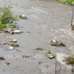avisio svaso diga di pezze maggio 2016 fiemme9 150x150 NellAvisio muoiono le trote per lo svaso della diga di Pezzè