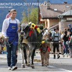 c desmontegada predazzo 2017 ph lorenzo delugani3 150x150 Desmontegada 2017 Predazzo   Le foto della sfilata
