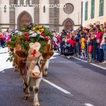 desmontegada 2017 predazzo by mauro morandini17 150x150 Desmontegada 2017 Predazzo   Le foto della sfilata