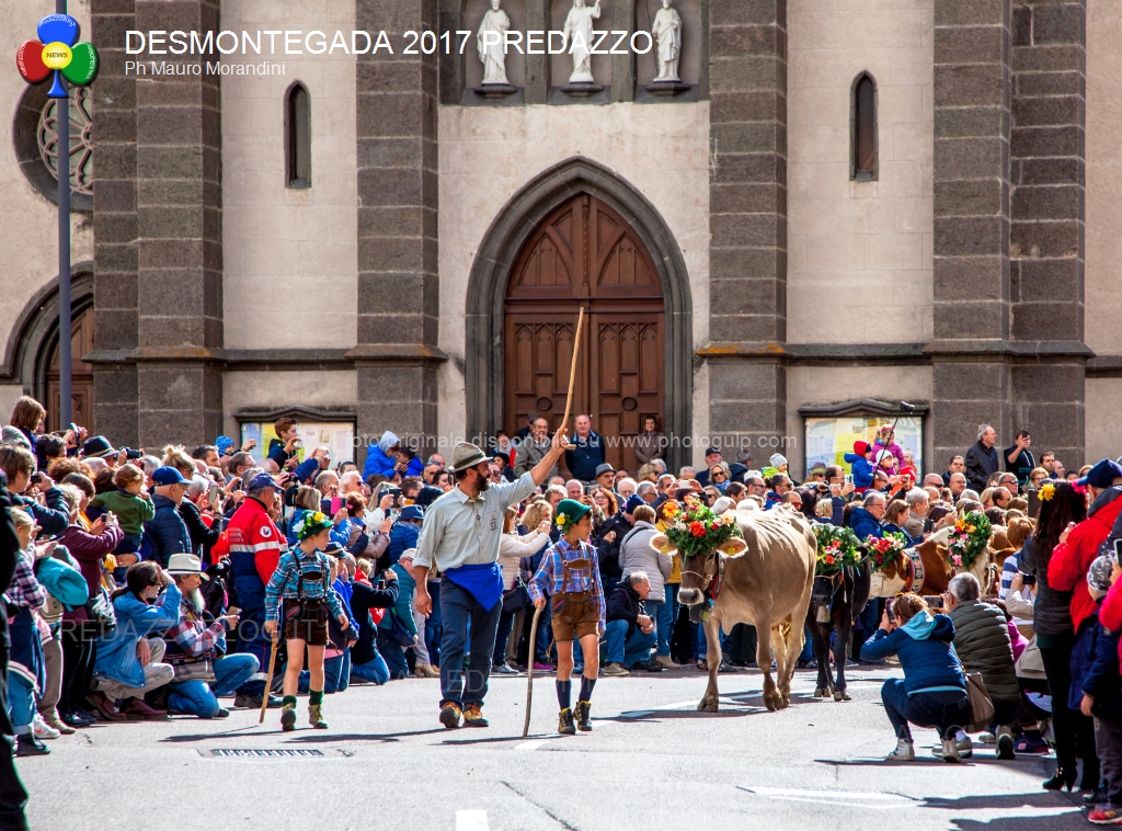desmontegada 2017 predazzo by mauro morandini40 La Desmontegada de le Vache & Festival del Gusto. 7 Ottobre 2018 
