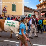 desmontegada 2017 predazzo fiemme by mauro morandini8 150x150 Desmontegada 2017 Predazzo   Le foto della sfilata