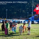 desmontegada 2017 predazzo ph mauro morandini6 150x150 Desmontegada 2017 Predazzo   Le foto della sfilata
