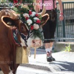 desmontegada predazzo 2017 ph teresa giacomelli13 150x150 Desmontegada 2017 Predazzo   Le foto della sfilata
