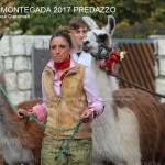 desmontegada predazzo 2017 ph teresa giacomelli57 150x150 Desmontegada 2017 Predazzo   Le foto della sfilata