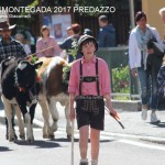 desmontegada predazzo 2017 ph teresa giacomelli6 150x150 Desmontegada 2017 Predazzo   Le foto della sfilata