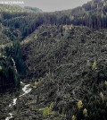 predazzo sottosassa disastro bosco