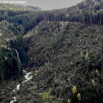 predazzo sottosassa disastro bosco 150x150 Irene Trotter fa rivivere la notte della Tempesta VAIA