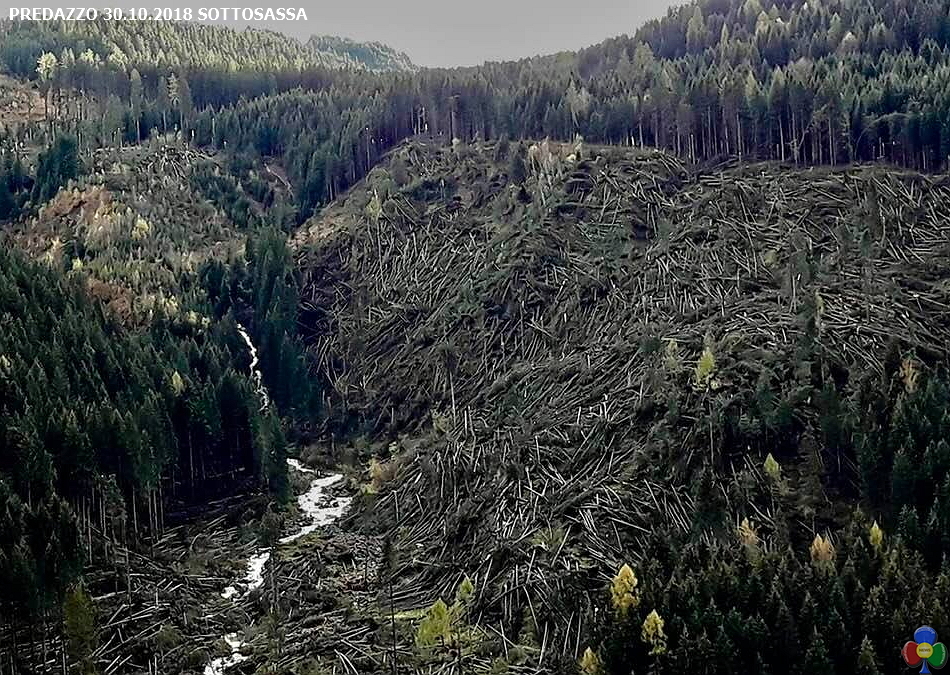 predazzo sottosassa disastro bosco Taglio del legname schiantato: un grave pericolo per gli operatori