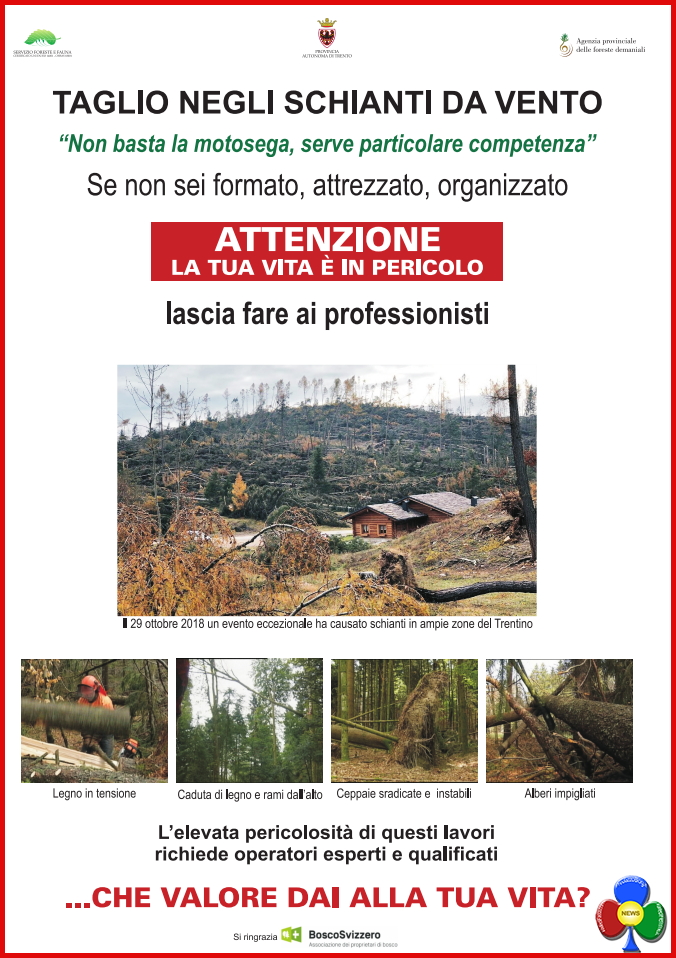 taglio bosco da vento pericolo Taglio del legname schiantato: un grave pericolo per gli operatori