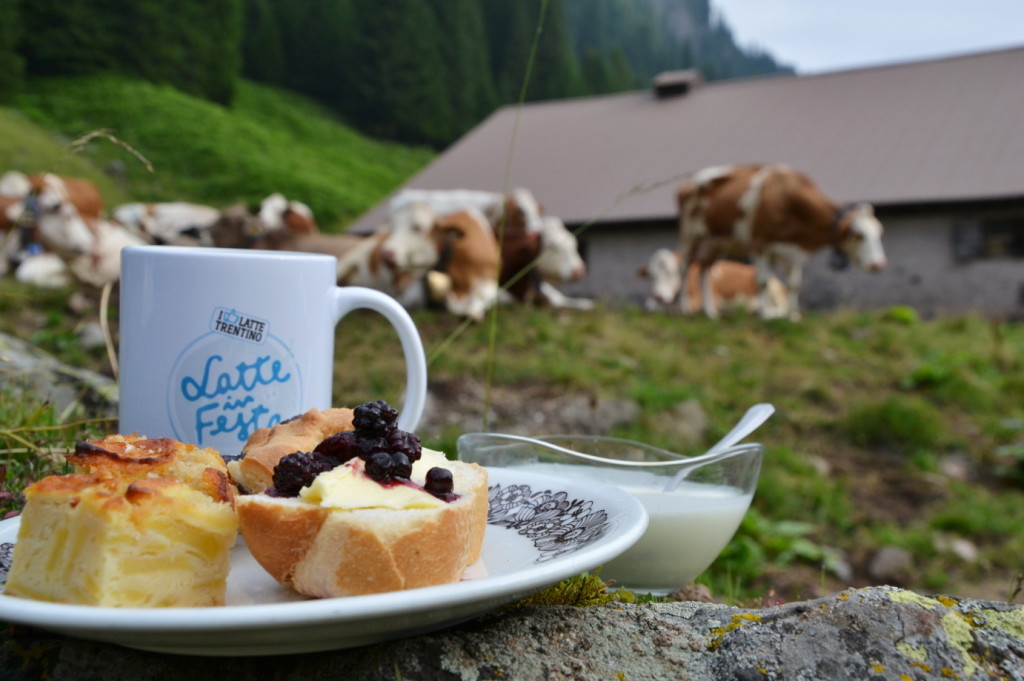 latte in festa 2019 1024x681 Val di Fiemme, Latte in Festa Sabato 31 agosto e domenica 1 settembre 2019