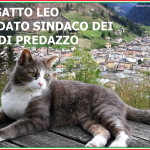 elezioni comunali 2020 candidato sindaco gatto leo predazzo 150x150 Gatto Leo vince le elezioni: Sarò il Sindaco di tutti i gatti di Predazzo