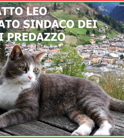 elezioni comunali 2020 candidato sindaco gatto leo predazzo