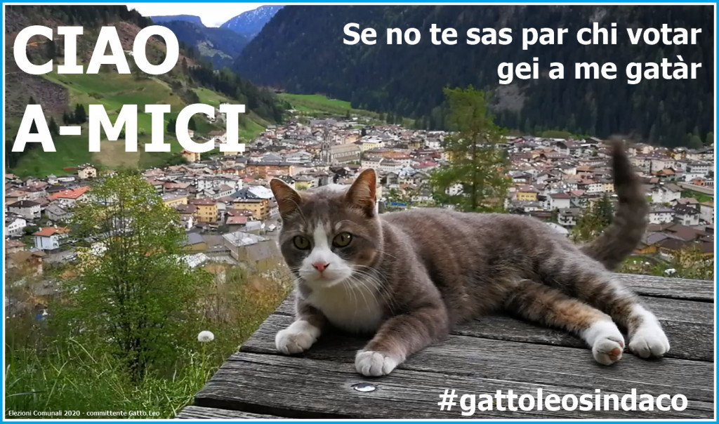 vota gatto leo ciao a mici 1024x604 Gatto Leo, candidato sindaco per i gatti di Predazzo 