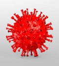 coronavirus foto